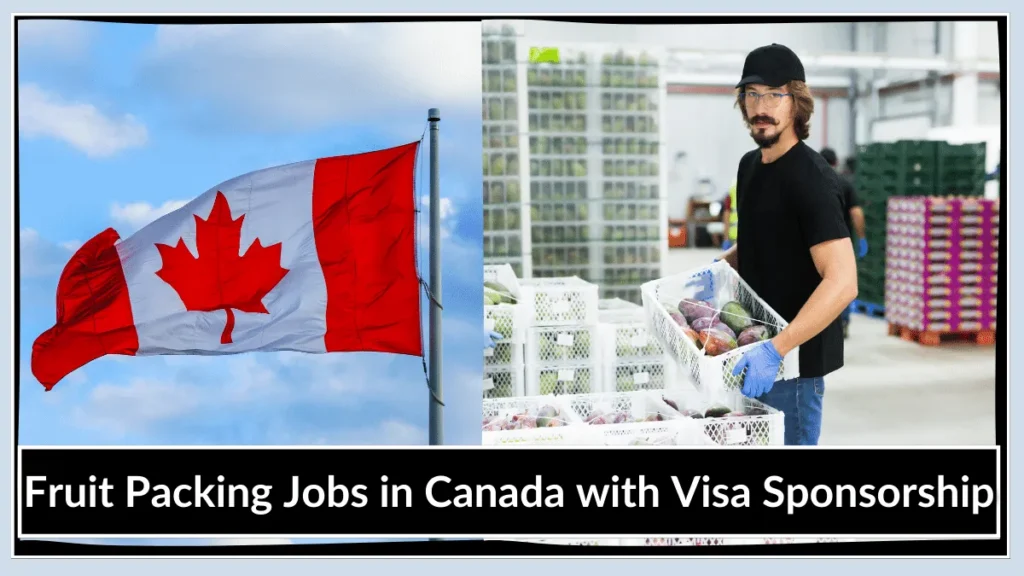 Fruit Packing Jobs in Canada with Visa Sponsorship