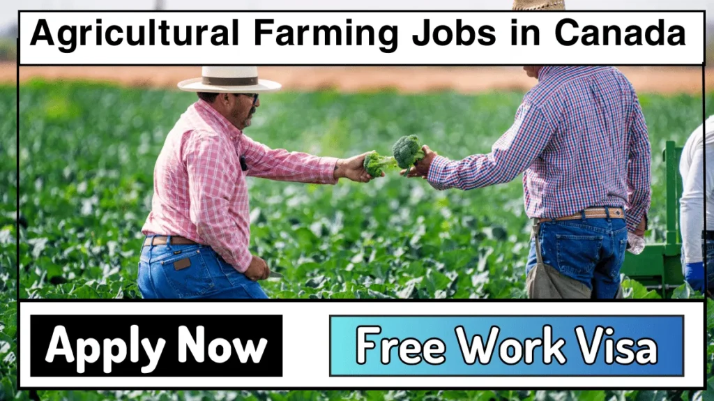 Agricultural Farming Jobs in Canada with Free Work Visa