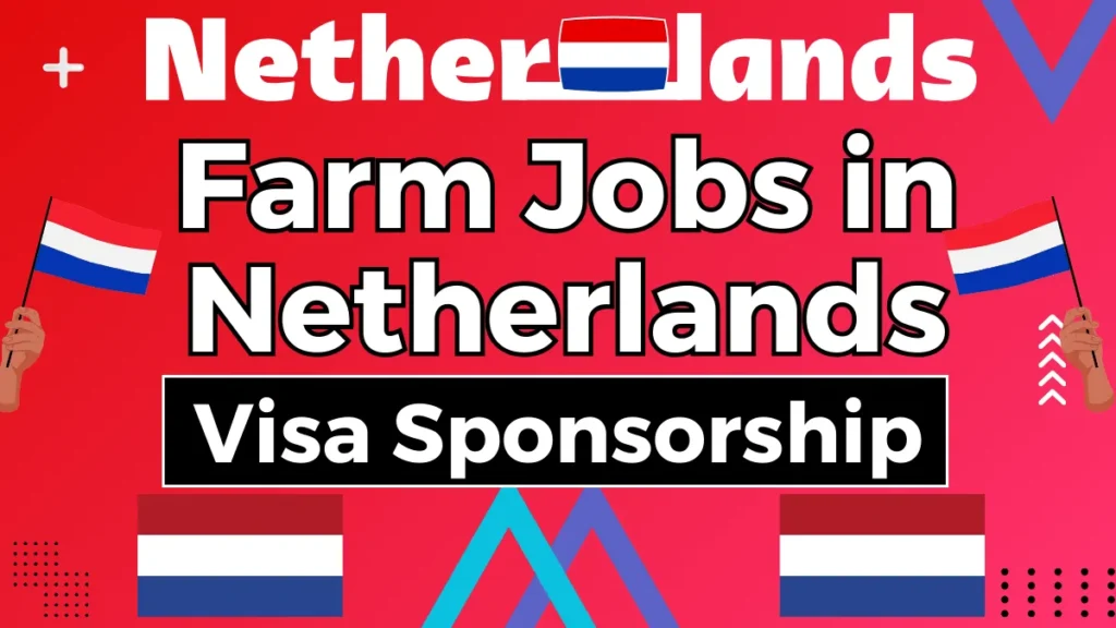 Farm Jobs in Netherlands for Foreigners with Visa Sponsorship